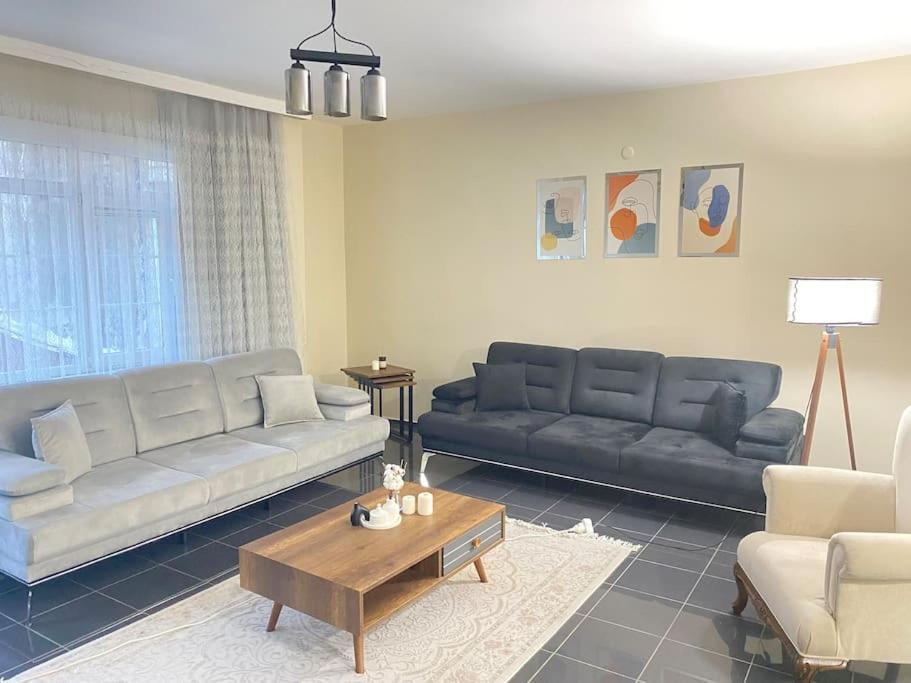 Comfy - Spacious Flat On The Kadikoey Seaside Appartement Istanboel Buitenkant foto